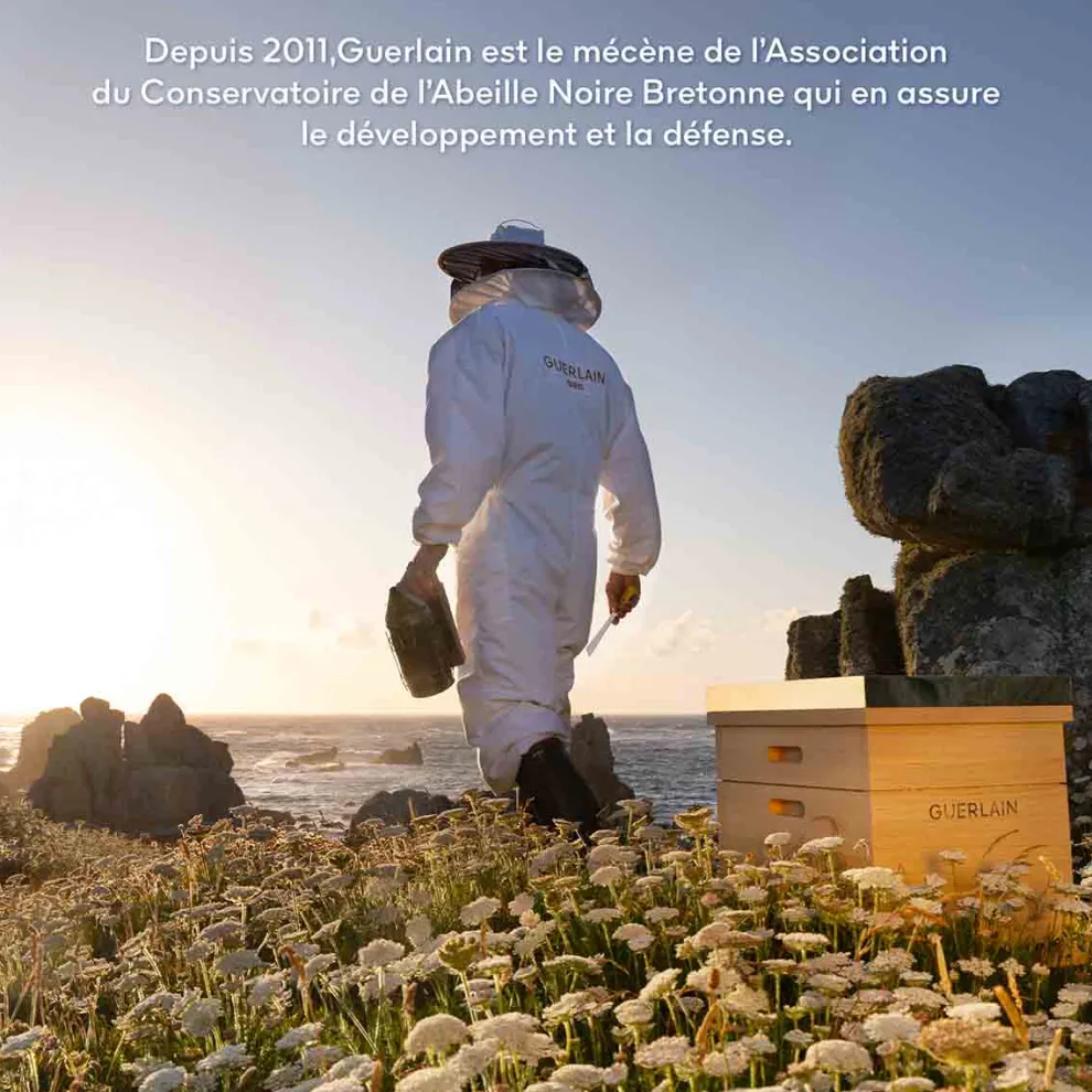 Guerlain - Abeille Royale - Cadeauset Youth Watery Oil Serum 30 ml & 2 additional care products