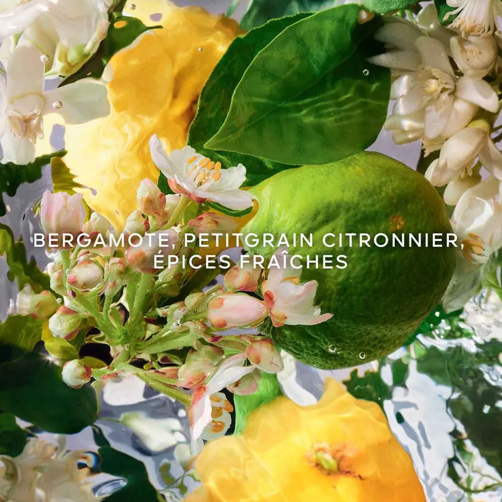 Guerlain - Aqua Allegoria Bergamot Calabria - Eau de toilette