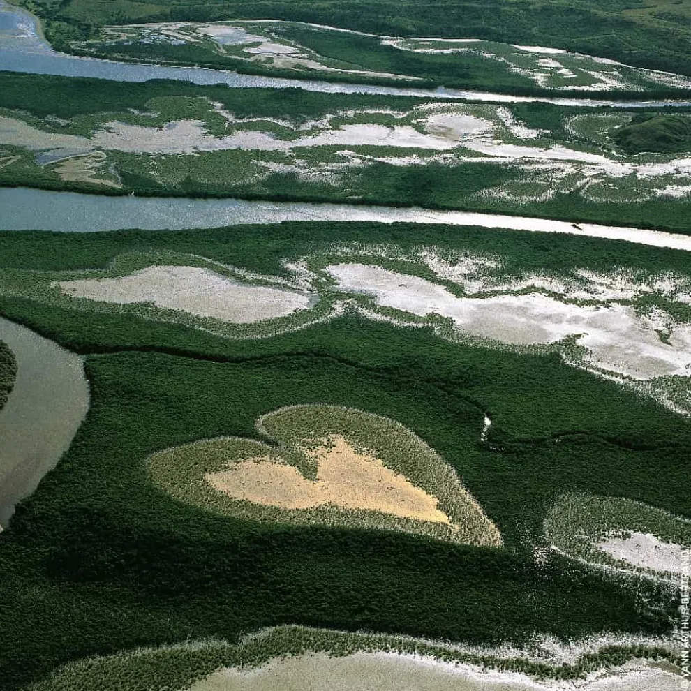 Guerlain - Aqua Allegoria Nettare Di Sole - Eau de toilette