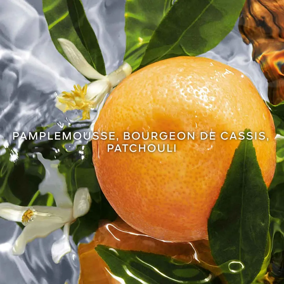 Guerlain - Aqua Allegoria Pamplelune - Eau de toilette