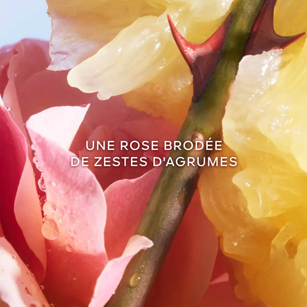 Guerlain - La Petite Robe Noire - Eau de Toilette