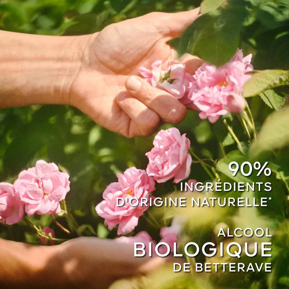 Guerlain - La Petite Robe Noire - Eau de Toilette