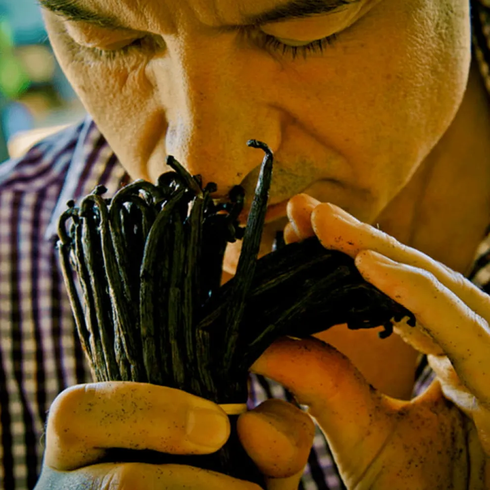 Guerlain - Shalimar - Eau de Parfum Refill 50 ml