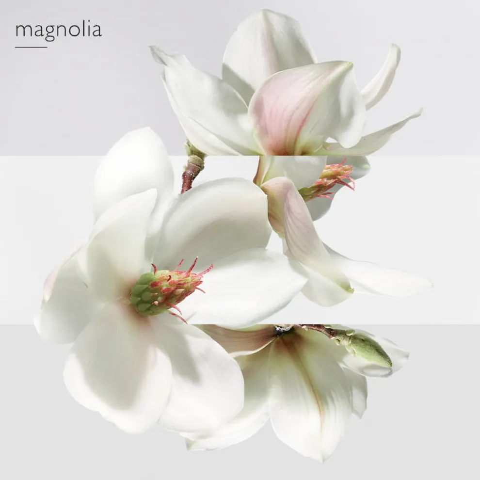 Hermès - Un Jardin sur la Lagune - Eau de Toilette