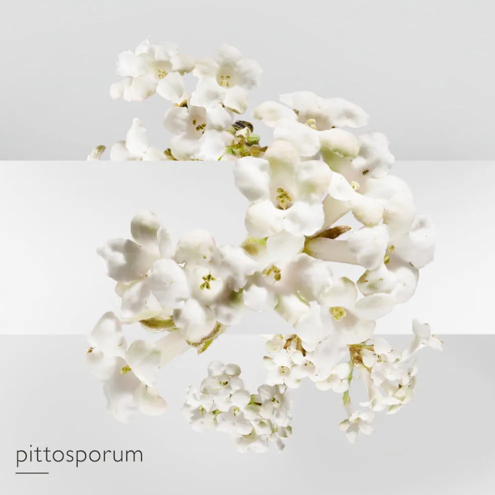 Hermès - Un Jardin sur la Lagune - Eau de Toilette